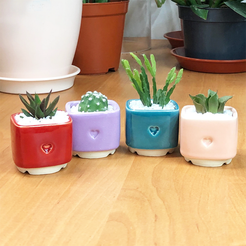 Planters & Pots