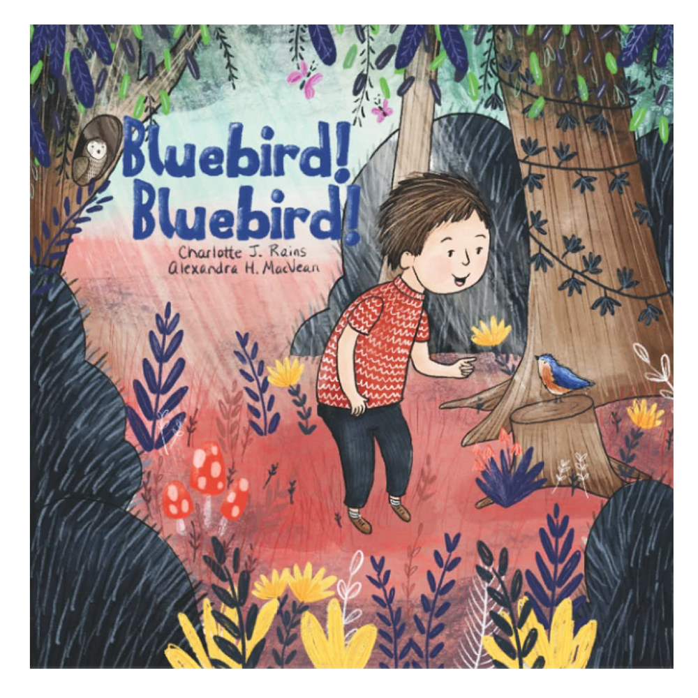 Bluebird! Bluebird! Book – Londonberrie Paper